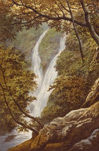 Stock Gill Force by Alexander Francis Lydon
